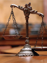 banner5